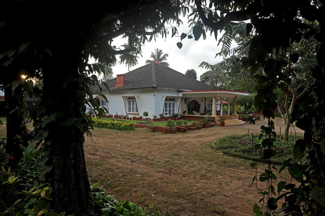 Devi Villa - Plantation Retreat And Forest Getaway Kutta 外观 照片