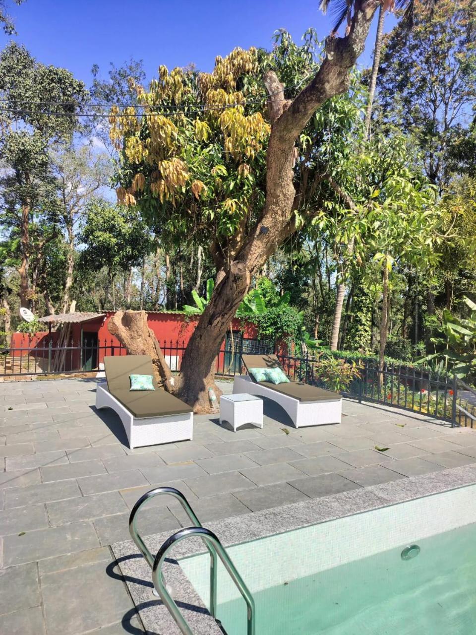 Devi Villa - Plantation Retreat And Forest Getaway Kutta 外观 照片